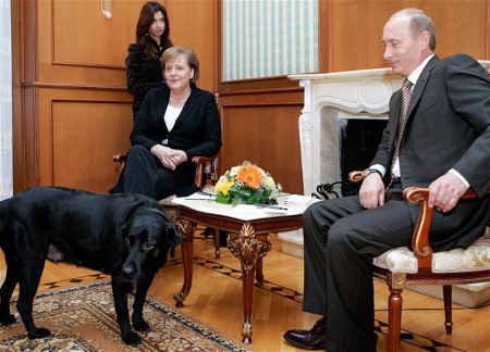 Путин напрямую обратился к Меркель и извинился за случай с собакой