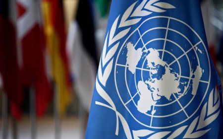 На сессии ООН удивились претензиям Армении к Азербайджану
