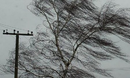 Дорожная полиция сделала заявление в связи ожидаемой в стране ветреной погодой