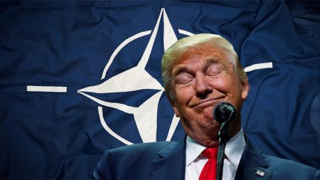 Трамп собрал на инаугурацию рекордные $250 млн