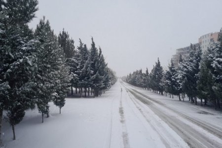 Самая холодная погода в Азербайджане ожидается в ночь на 25 февраля, в Баку - до 5-8 градусов мороза