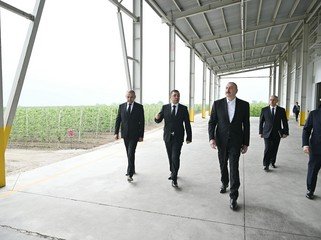 Президент Ильхам Алиев ознакомился с деятельностью садоводческого и холодильного складского комплекса в Гусарском районе