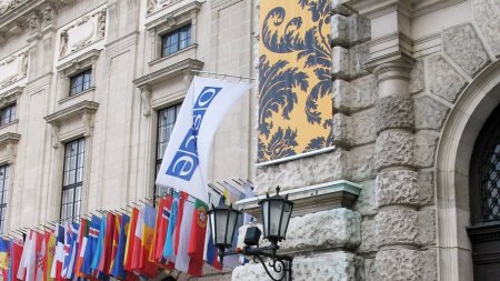 Совместное заявление ОБСЕ по Грузии