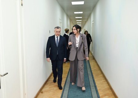 Мехрибан и Лейла Алиевы посетили ясли и детский дом в Баку