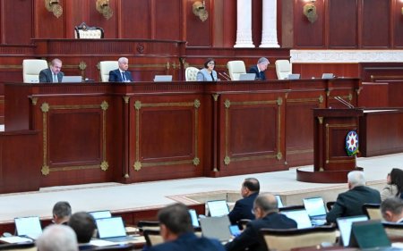 Милли Меджлис принял заявление, посвященное Году Конституции и Суверенитета