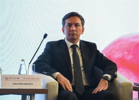 При Министерстве иностранных дел Азербайджана создано Управление климатической дипломатии