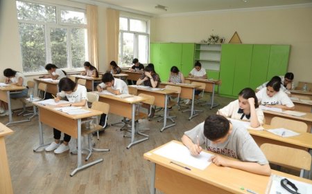 Малейка Аббасзаде: В этом году более 130 тыс. абитуриентов зарегистрировались для поступления в вузы
