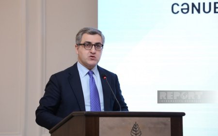 Назван объем турецких инвестиций в ненефтегазовый сектор Азербайджана