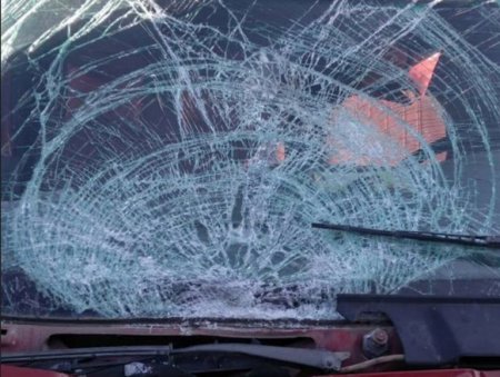 Граждане Азербайджана погибли в тяжелой автоаварии в Северной Осетии