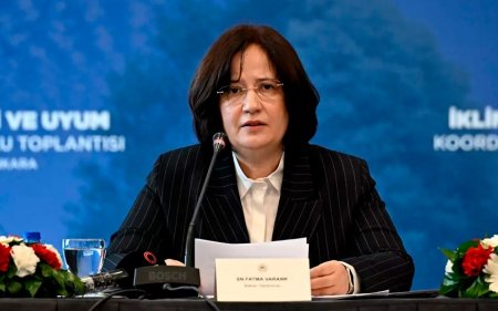 Кандидатура Антальи выдвинута для проведения COP-31