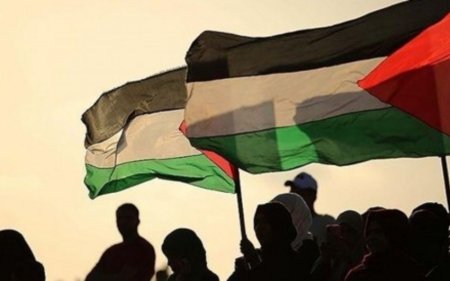 Новая Зеландия рассматривает возможность признания палестинского государства