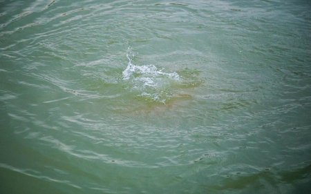 В поселке Бильгях найдено тело молодого человека, утонувшего в море