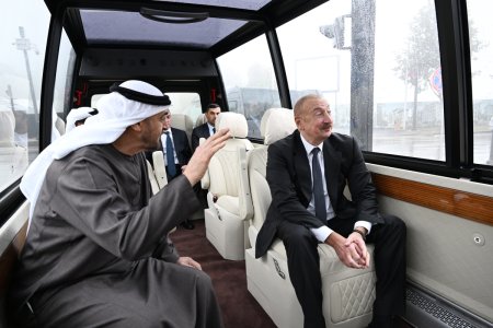 Ильхам Алиев подарил президенту ОАЭ карабахского скакуна