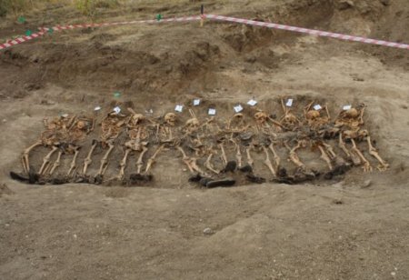 После освобождения наших земель от оккупации на этих территориях было обнаружено 29 массовых захоронений