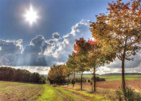 В Баку ожидается до 23°C