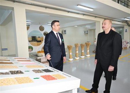 Президент ознакомился с деятельностью предприятия по производству семян в Сабирабаде