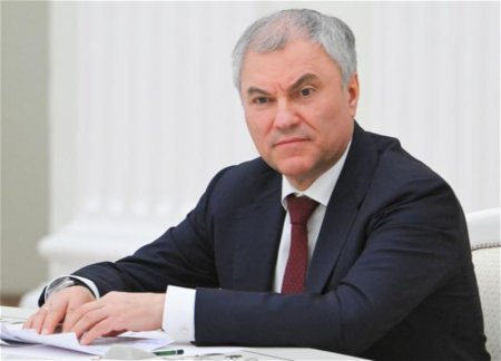 РФ признает водительские права только тех стран, где русский язык имеет официальный статус