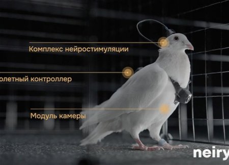 Появились первые биодроны