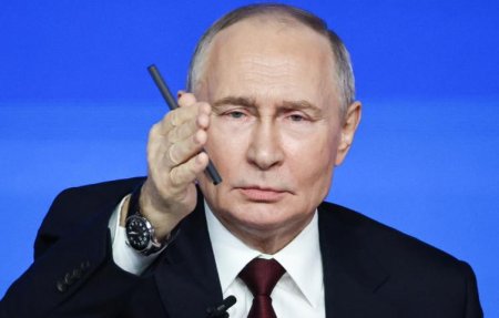 "Подсвинки", инопланетяне и свадьба