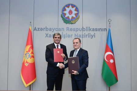 Состоялась встреча глав МИД Азербайджана и Монтенегро