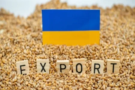 В 2025 году было похищено более 2 млн. тонн украинского зерна