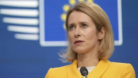 Каллас не поддержала идею Зеленского о создании европейской армии