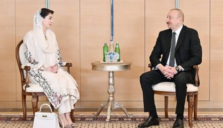 Президент Ильхам Алиев принял главного министра пакистанской провинции Пенджаб
