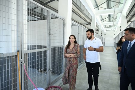 Лейла Алиева приняла участие в открытии регионального филиала Центра по уходу за бездомными животными в Евлахе