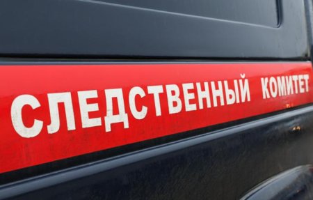 Bo время восхождения н Эльбрус погиб 11-летний ребенок