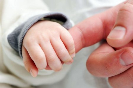 В этом году оплачиваемый отпуск по отцовству предоставлен более 1100 человек